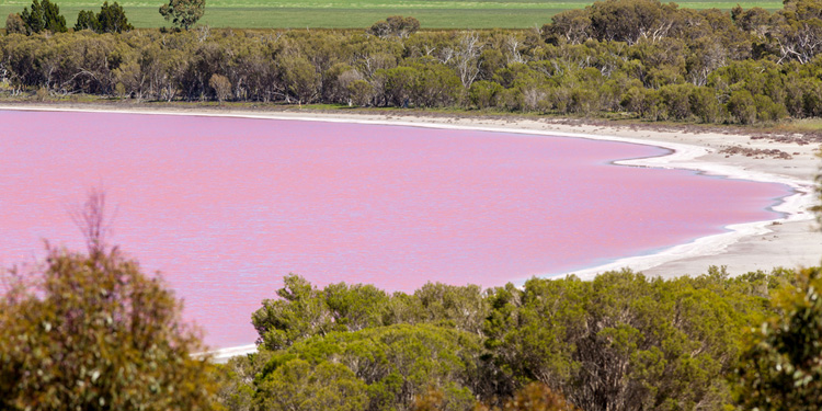 Las Coloradas lagune in Mexico gefilmd met drone
